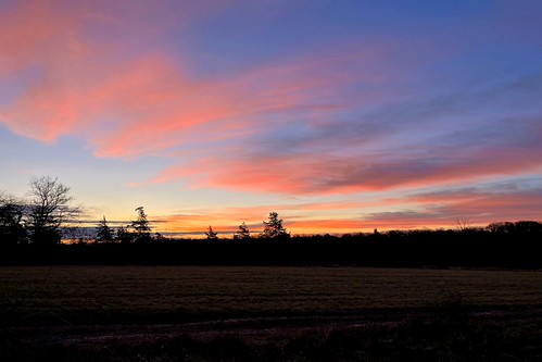 Visual timeline showing morning walking flows arranged across early dawn and sunrise time zones